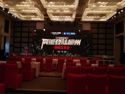東巴象家裝集團柳州新聞發布會成功舉辦，引領家居定制新篇章